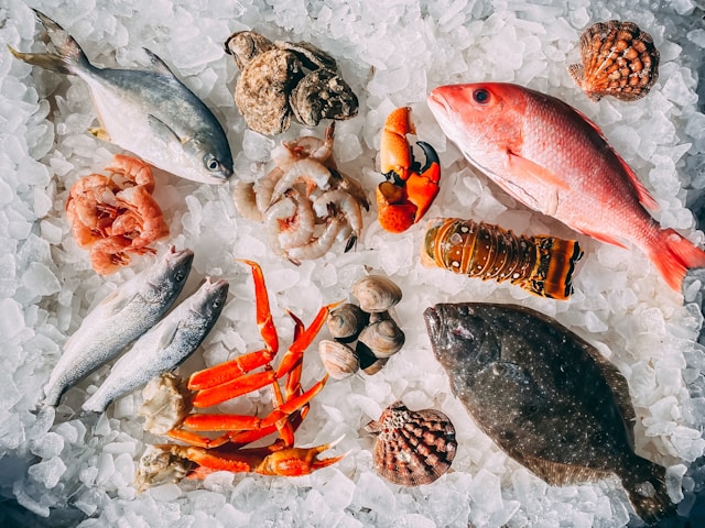 How to Choose the Right Seafood supplier for Truly Fresh Catch